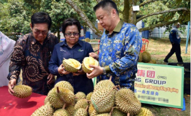 马国希望新鲜榴梿明年外销中国