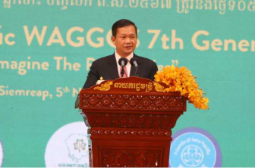 柬埔寨鼓励女性积极参与社会经济发展活动