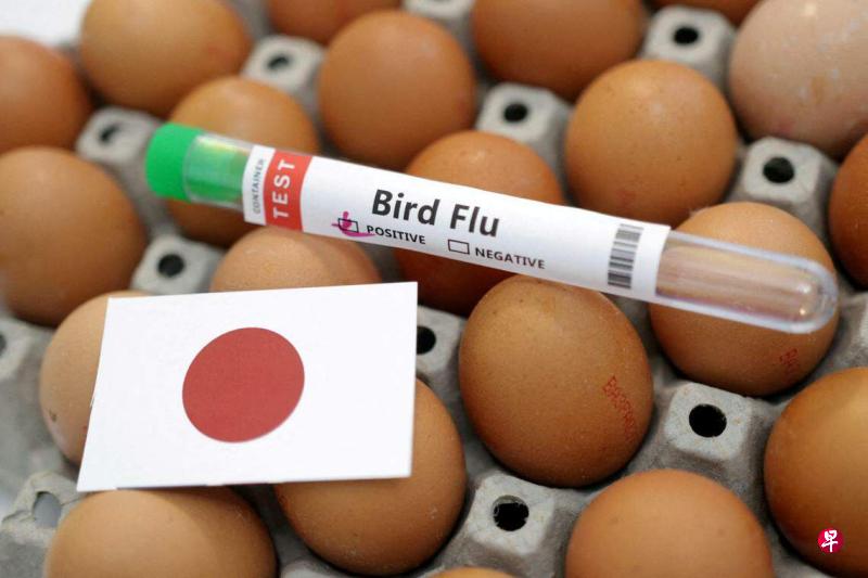 日本中部地区暴发禽流感疫情